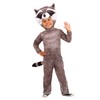 Realistic Toddler Raccoon Costume 4T