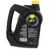 BRP Ski-Doo Can-Am Sea-Doo OEM 2-Stroke Synthetic Oil Gallon, 779127,