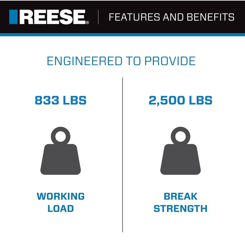 Reese Powersports 2060300 Retractable Transom Tie Down, 2 Inch x