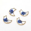 4PCS Gold Tone Real Dry Pressed Flower Resin Crescent Moon