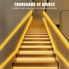 Tatazone Orange Color COB Led Strip Lights with RF Remote,