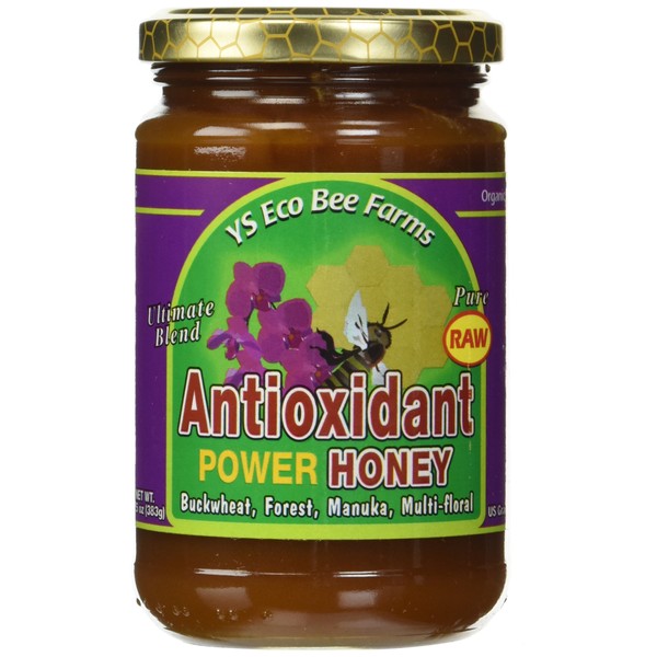 Raw Antioxidant Power Honey YS Eco Bee Farms 13.5 oz Paste