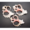 One (1) Center Cut Pink Murex (3-4") Shells Seashells Beach