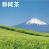 Leaf Paulownia Tea Wholesaler Karigane Shizuoka Kukicha, 1 Bottle, Green