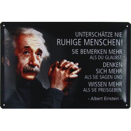 mrdeco Metal Sign 20 x 30 cm "Unterschatznie niemals ruhenschen (German Language) Quote Einstein Sayings Tin Sign