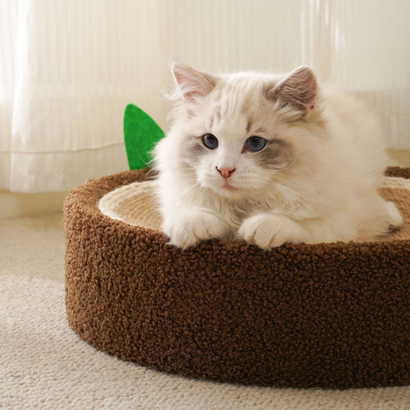 Round Cat Scratch Bowl Scratch Resistant Comfortable Sisal Lasting Cat