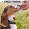 Riley's Organics Jerky Jibbs Beef Recipe Dog Treats 2 Pack
