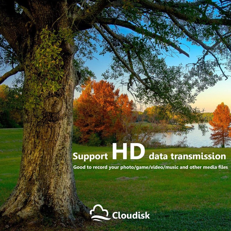 Cloudisk Pack of 10 Micro SD Card 4GB Flash Memory