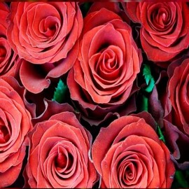 La Perfumm Esencia Pura Rosas Ó Sandalo Ó Pachuli Ó Kiwi Ó Menta 100gr