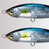 Shimano XU-T14U F Kakuchi 003 Offshore Casting Blue Fried Yellowtail