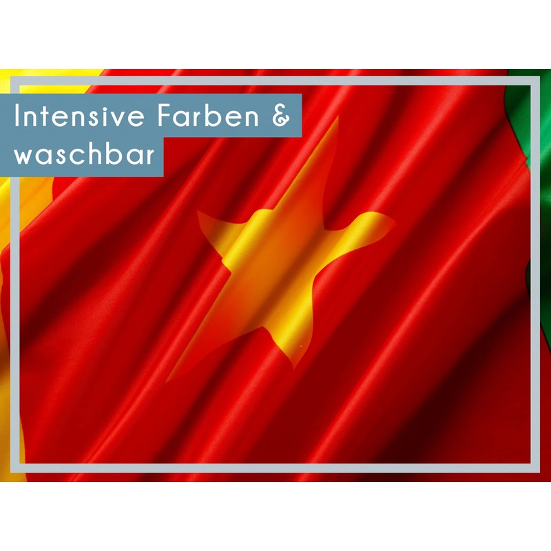 PHENO FLAGS Cameroon Flag 90 x 150 cm with Brass