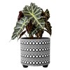 8 Inch Modern Design Ceramic Plants Pot with Drainage Hole,