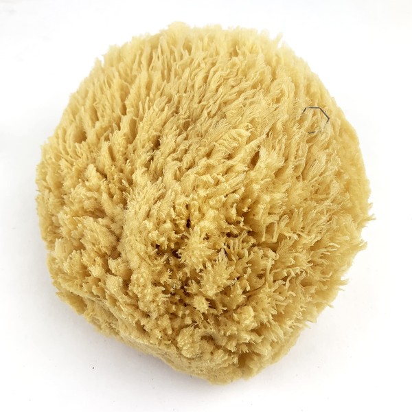 Heyiwell 1PC Large Natural Sea Sponges,Bath Sponges,Natural Sponge for Body and Bath Shower 5"~6" Inch