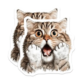 (2 Pack) Shocked Cat Magnets - Surprised Kitten - Humorous Fridge - 5" On Longest Side - Sticks to Smooth Flat Surfaces - Made in USA - MAG10345