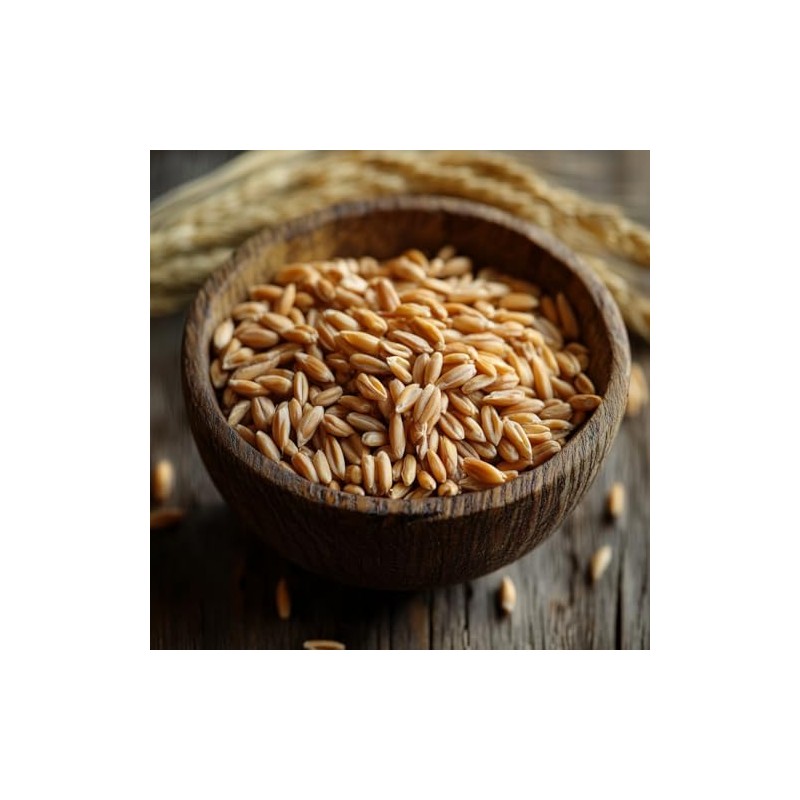 Prairie Gold Wheat Berries, Non-GMO, Whole Grain, Hard White Spring