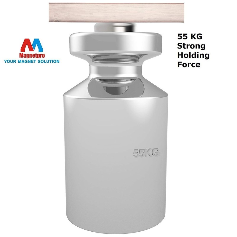 Magnetpro Pack of 6 Disc Magnets with Capsule 55 kg
