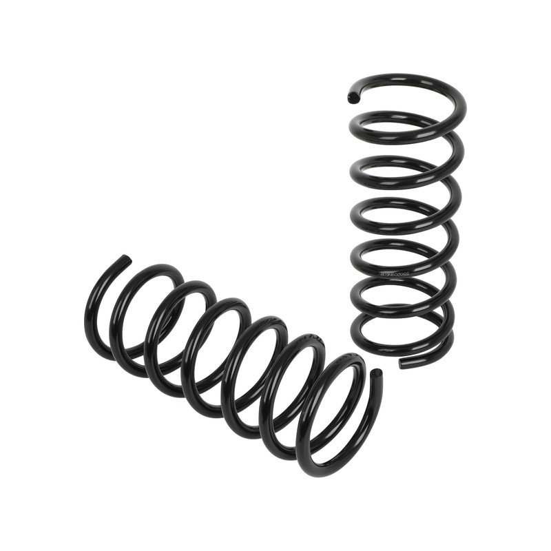 TFGCSG 2pcs Rear Pair Suspension Coil Spring for 2009-2014 for