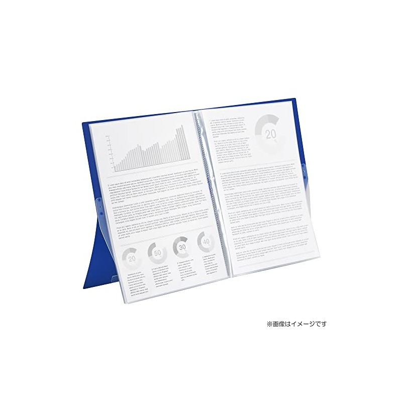 LIHIT LAB CUBEFIZZ N6003-10 Clear Book, Stand Type, A4, 20