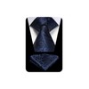 Hisdern TP-01S Men’s Paisley Pattern Necktie and Square Set, Business,