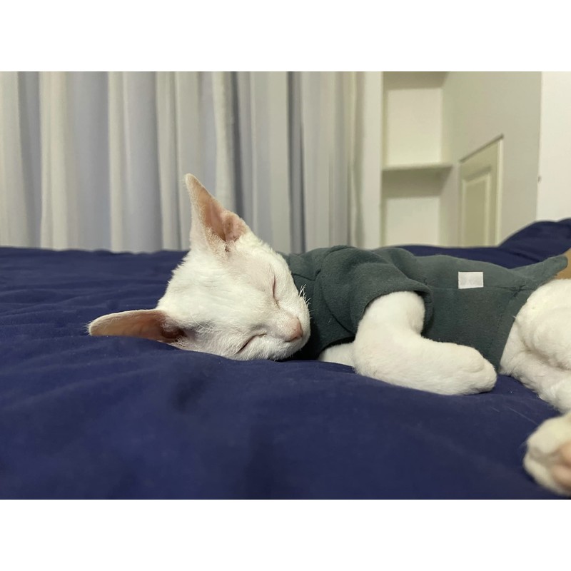 DUOMASUMI Sphynx - Ropa interior térmica cálida para gatos sin