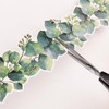 Enwye Eucalyptus Leaf Flower Border Stickers for Bulletin Boards Blackboard