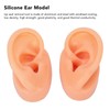 Silicone Ear Model Human Artificial Ear Display for Hearing Aids