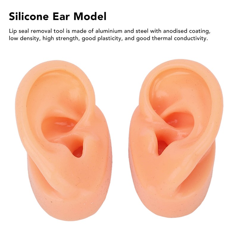 Silicone Ear Model Human Artificial Ear Display for Hearing Aids