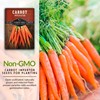 Imperator 58 Carrot Seed for Planting - 2 Packets with