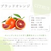 Blood Orange 10ml e-aroma Essential Oil Essential Oil Aroma Oil