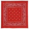 Paisley One Dozen Cowboy Bandanas