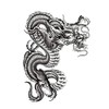 EROSPA® Temporary Tattoo Sheet / Sticker Dragon Dragon 15 x