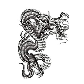 EROSPA® Temporary Tattoo Sheet / Sticker Dragon Dragon 15 x 22 cm