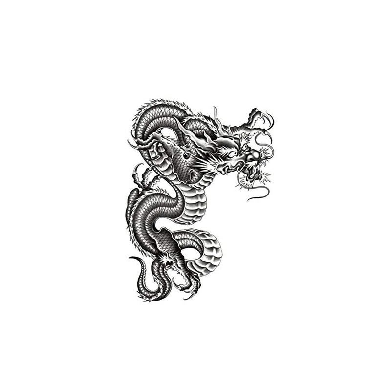 EROSPA® Temporary Tattoo Sheet / Sticker Dragon Dragon 15 x