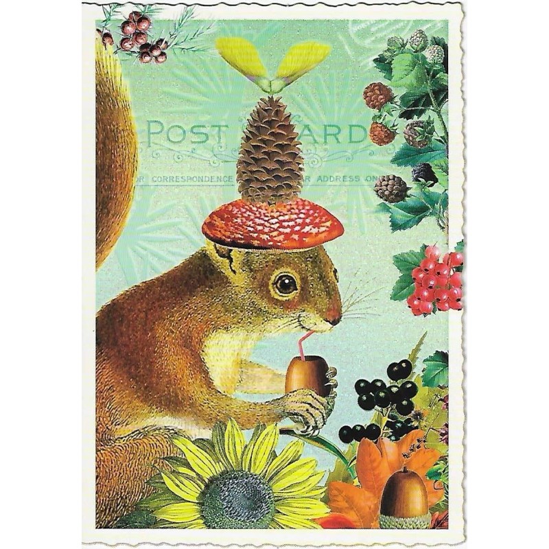 Postcard Glitter Tausendschoen Squirrel Pinecone Hat Sunflower Postcrossing