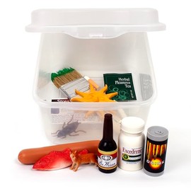 HEALTH EDCO HEALTH EDCO Prenatal Care Box Display