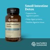 Nature's Sunshine Small Intestine Detox, 100 Capsules | Natural Formula