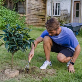 Berry&Bird Handheld Triple Claw Rake, Stainless Steel Garden Hand Cultivator with Ergonomic Wooden Handle and Leather Strap Heavy Duty Tool for Tilling Gardening