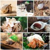 21PCS Hermit Crab Shells Large Medium Small | Sea Conch