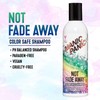 Not Fade Away Color Safe Shampoo Manic Panic For Unisex