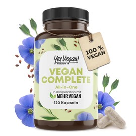 Vegan Multivitamin & Minerals with 14 Vitamins including B12, Iodine, Iron, Choline (120 Capsules High Dose) for Vegans & Vegetarians - Vegan Supplements - Vegetarian Vitamins - Multivitamin Vegan