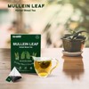 Mullein Tea Bags for Lungs - 20 Teabags (2.47oz/70g), 100%
