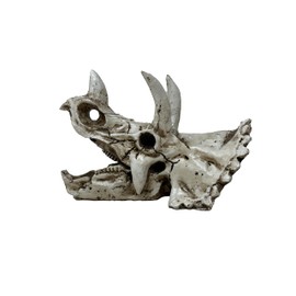 The Bio Dude - Dino Decor Triceratops Accent Skull. Great for bioactive vivariums and terrariums