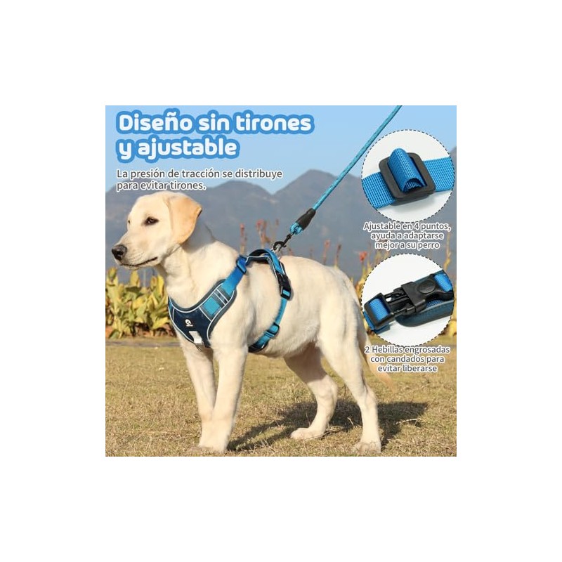 MESVIER Arnés para Perro Ajustable Reflectante Transpirable con Correa 1.5m