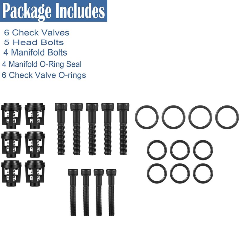 YMT 25PCS Pressure Washer Pump Valve Check Kit 190591GS fits
