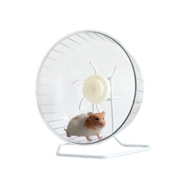 WHFPS Silent Hamster Exercise Wheel - Hamster Toy Accessories 9.45 Inch Running Spinner with Stand Quiet Hamster Runner for Small Animal Pet Gerbil Dwarf Syrian Hamster Hedgehog Rat Mouse Mice etc.