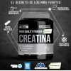 Holix Lab Creatina Monohidratada 500g 100 Serv. Creapure Sfn