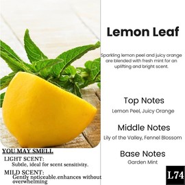 2 Pack Pick 80+Scents Car Air Freshener Hanging Car Diffuser Made in USA Last for 120 Days:_L74-Lemon Leaf
