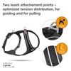 Magnetic Belka Comfort Harness
