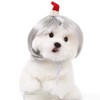Pet Wig for Cats & Dogs – DIY-Trimmable Curly or