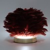 Feather Table Lamp Stepless Dimming USB Charging Touch Control LED